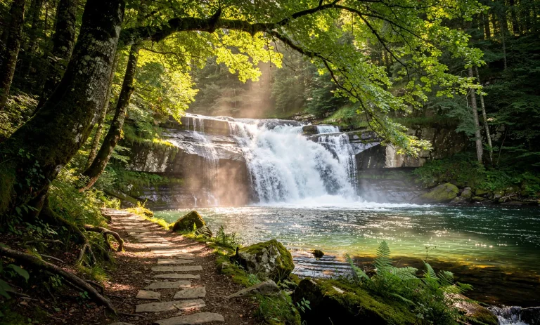 Cascade de Xorroxin tombant dans une forêt verdoyante avec un sentier étroit serpentant entre des rochers moussus sous une lumière tamisée.